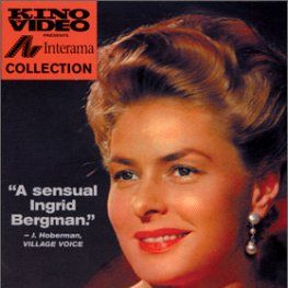 Bilder Weiße Margeriten