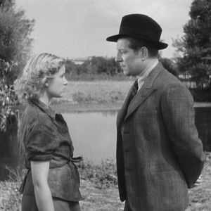 Bilder Bestie Mensch