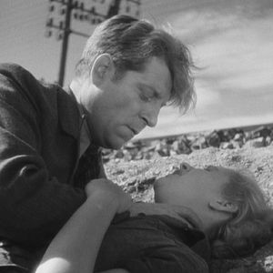 Bilder Bestie Mensch