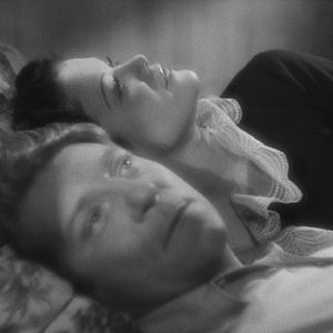 Bilder Bestie Mensch