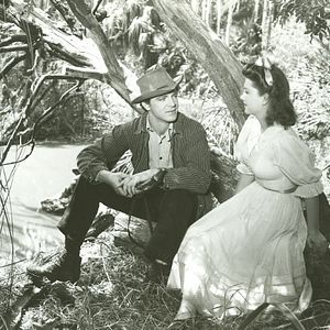 Bilder In den Sümpfen