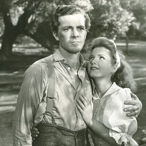 Bilder In den Sümpfen