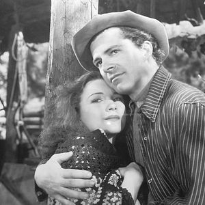 Bilder In den Sümpfen