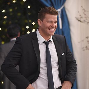 Bilder David Boreanaz