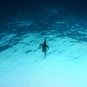 Bilder How to Meet a Mermaid