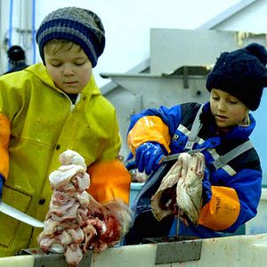 Bilder Tongue Cutters