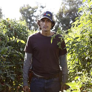 Bilder American Crime