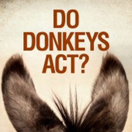 Bilder Do Donkeys Act?