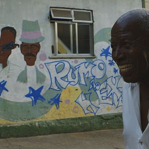 Bilder Memória em Verde e Rosa