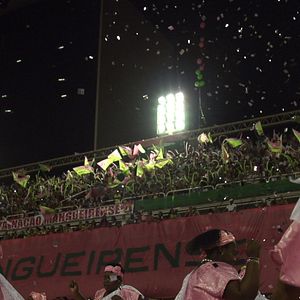 Bilder Memória em Verde e Rosa