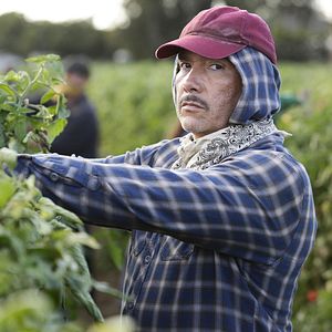 Bilder American Crime