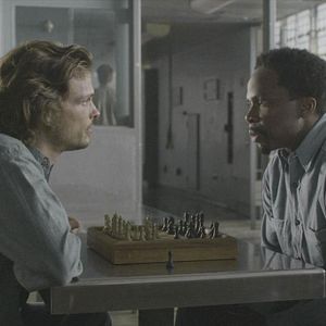 Bilder Matthew Gray Gubler