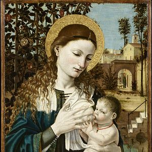 Bilder L’Accademia Carrara: Il Museo Riscoperto