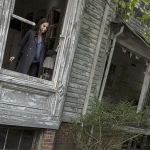 Bilder David Carranza