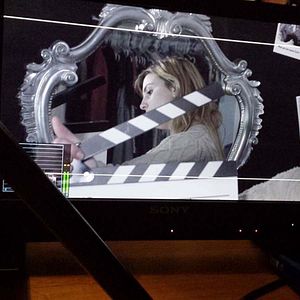 Bilder Entre loup et chien