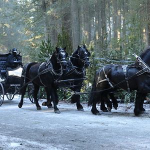 Bilder Once Upon A Time - Es war einmal...