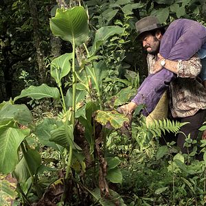 Bilder La Mujer del Animal