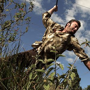 Bilder La Mujer del Animal