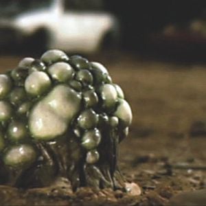 Bilder Alien Infiltration