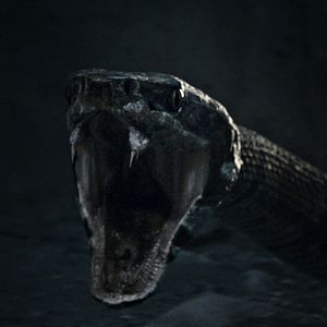 Bilder King Arthur: Legend Of The Sword