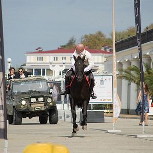 Bilder The Kitchen: Mortal Kombat
