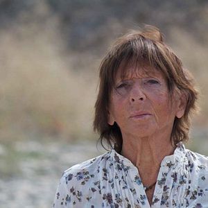 Bilder Le Cri des fourmis