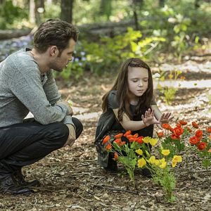 Bilder Summer Fontana