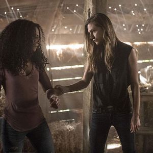 Bilder Phoebe Tonkin