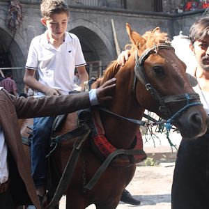 Bilder Mezeci Çırağı