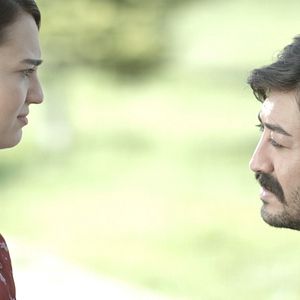 Bilder Mezeci Çırağı