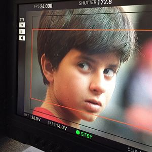 Bilder Mezeci Çırağı