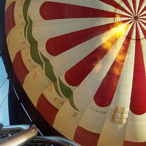 Bilder Los pájaros no tienen vértigo