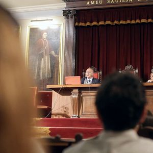 Bilder Los pájaros no tienen vértigo