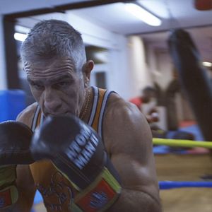 Bilder Los pájaros no tienen vértigo