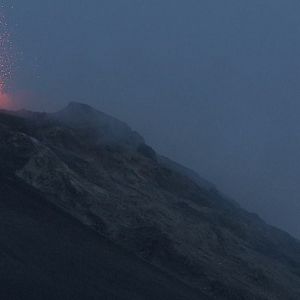 Bilder Los pájaros no tienen vértigo