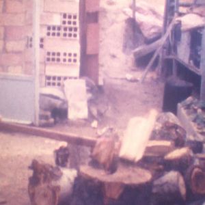 Bilder Los pájaros no tienen vértigo