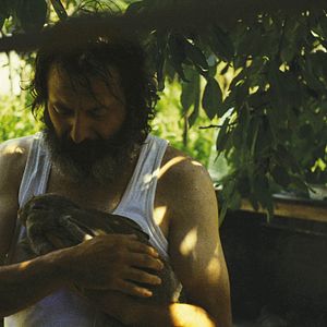 Bilder Stefan Denolyubov