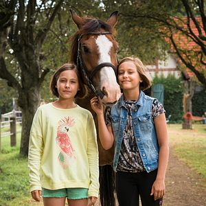 Bilder Rosa Meinecke