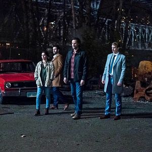 Bilder Shoshannah Stern