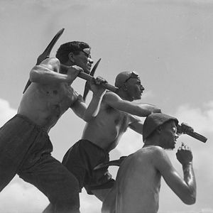 Bilder Das Salz Swanetiens