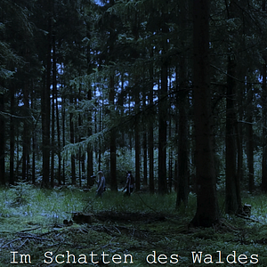Bilder Im Schatten des Waldes