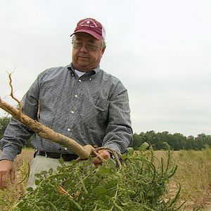 Bilder Code of Survival - Die Geschichte vom Ende der Gentechnik