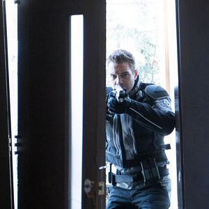 Bilder Taylor Handley