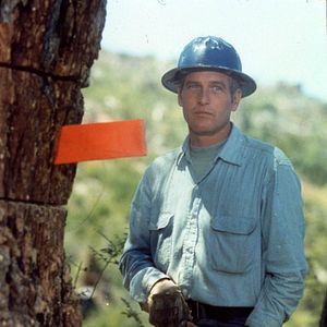 Bilder Sie möchten Giganten sein