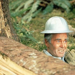 Bilder Sie möchten Giganten sein