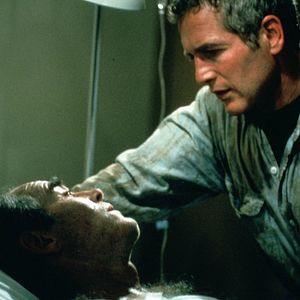 Bilder Sie möchten Giganten sein