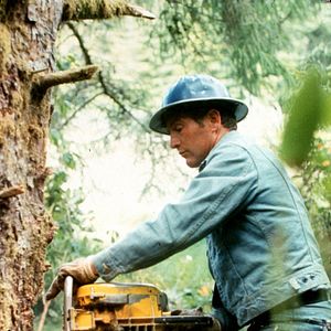 Bilder Sie möchten Giganten sein