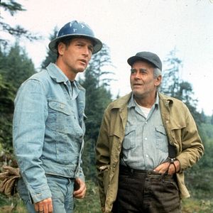 Bilder Sie möchten Giganten sein