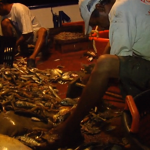 Bilder Ruinas tu Reino