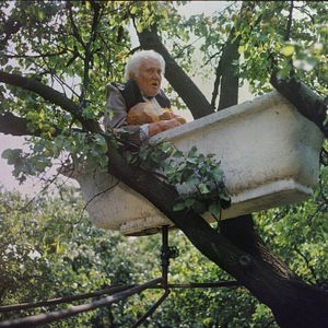 Bilder Rosige Träume